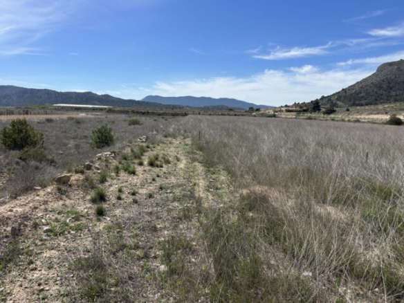 land in La Romana (Ref: CC0619)