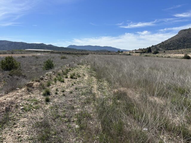 land in La Romana (Ref: CC0619)