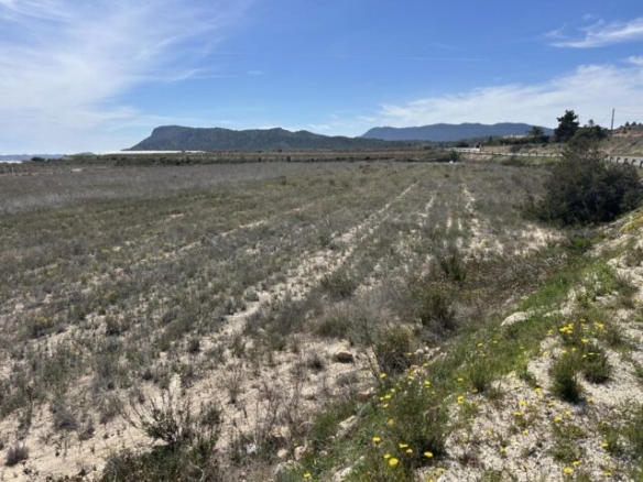 land in La Romana (Ref: CC0619)