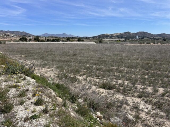 land in La Romana (Ref: CC0619)
