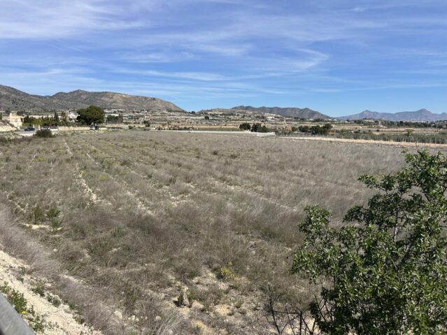 land in La Romana (Ref: CC0619)