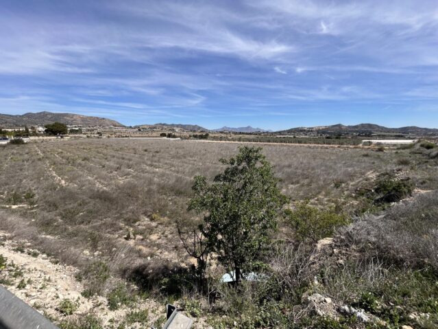 land in La Romana (Ref: CC0619)