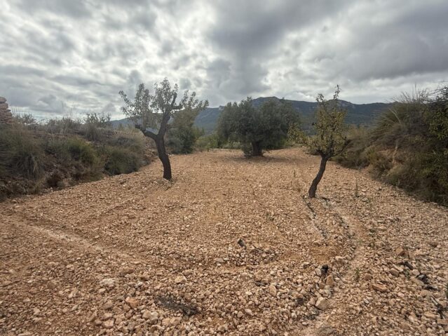land in La Romana (Ref: CC0643)