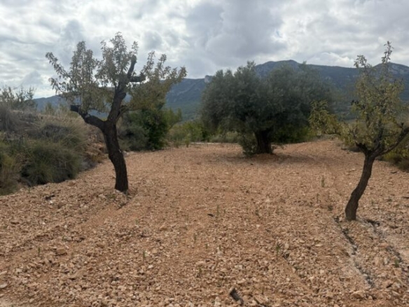 land in La Romana (Ref: CC0643)