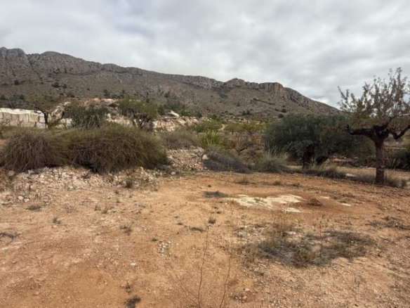 land in La Romana (Ref: CC0643)