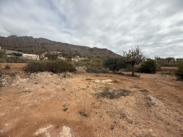 land in La Romana (Ref: CC0643)
