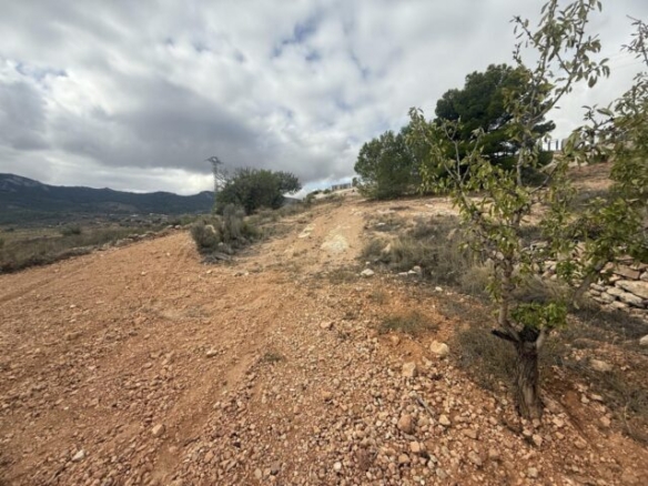 land in La Romana (Ref: CC0643)