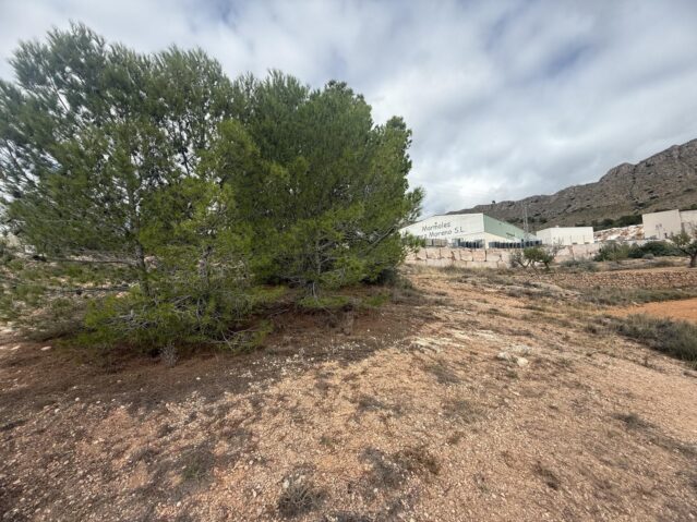land in La Romana (Ref: CC0643)