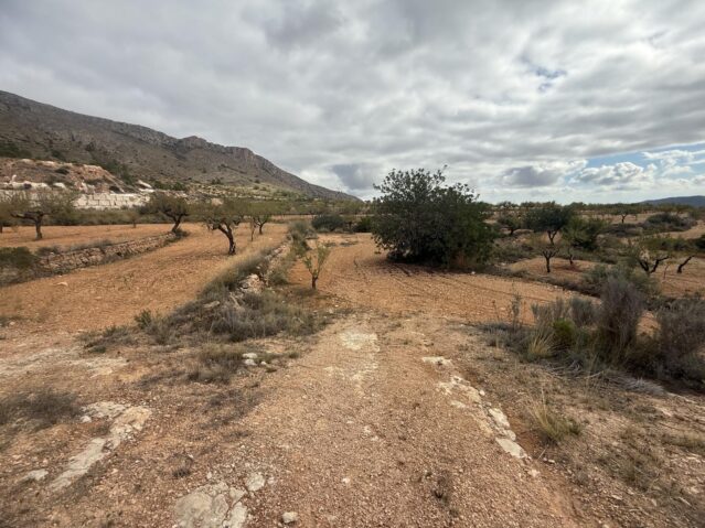 land in La Romana (Ref: CC0643)