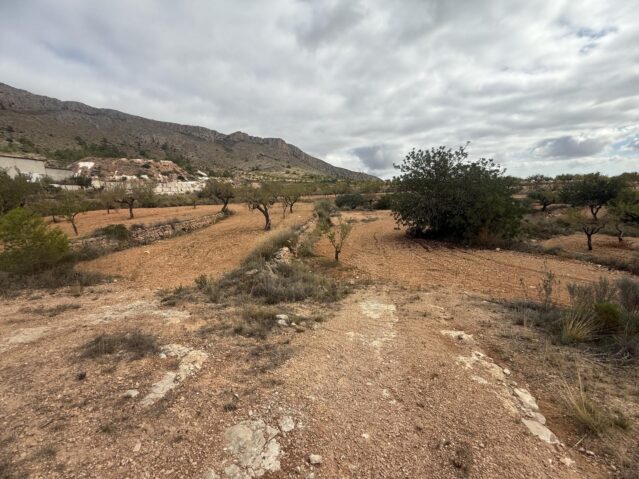 land in La Romana (Ref: CC0643)