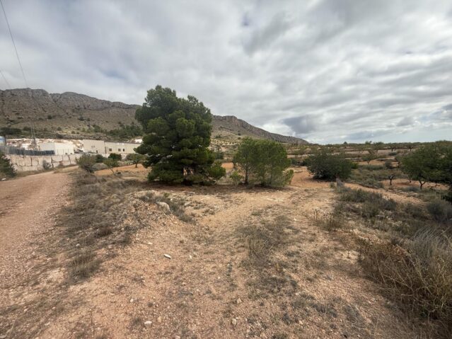 land in La Romana (Ref: CC0643)