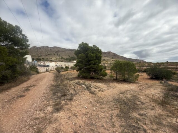 land in La Romana (Ref: CC0643)