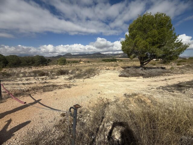 land in Monovar (Ref: CC0644)