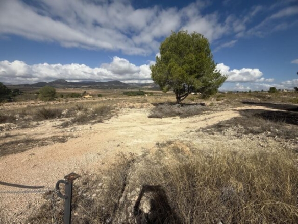 land in Monovar (Ref: CC0644)