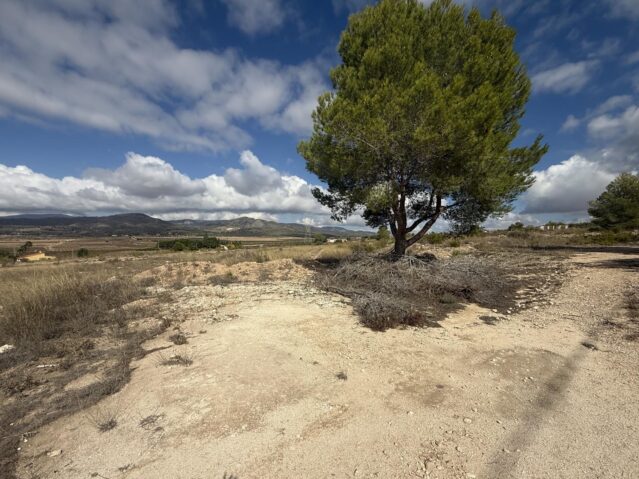 land in Monovar (Ref: CC0644)