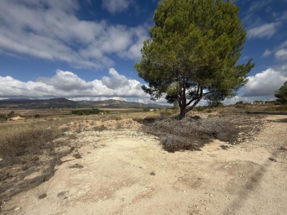 land in Monovar (Ref: CC0644)