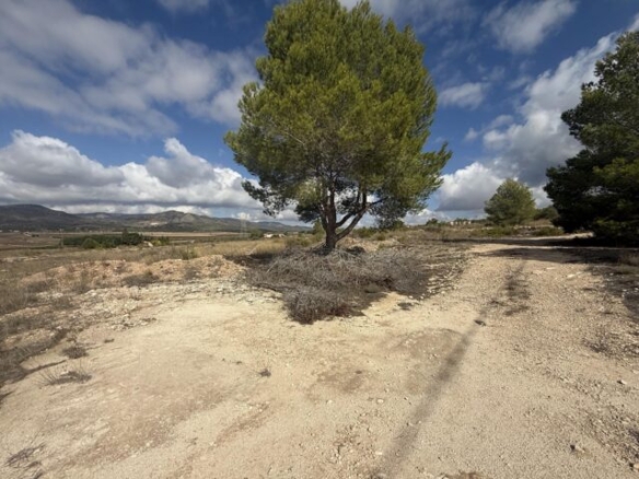 land in Monovar (Ref: CC0644)