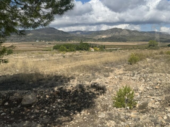 land in Monovar (Ref: CC0644)