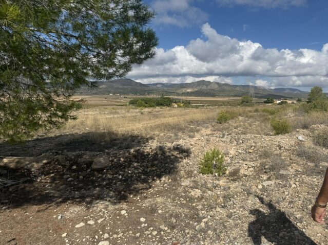 land in Monovar (Ref: CC0644)