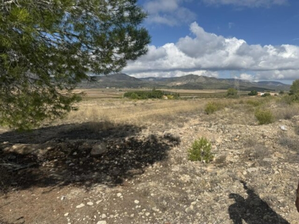 land in Monovar (Ref: CC0644)