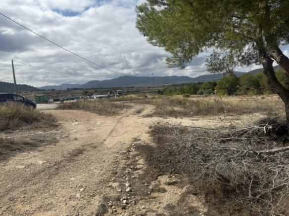 land in Monovar (Ref: CC0644)