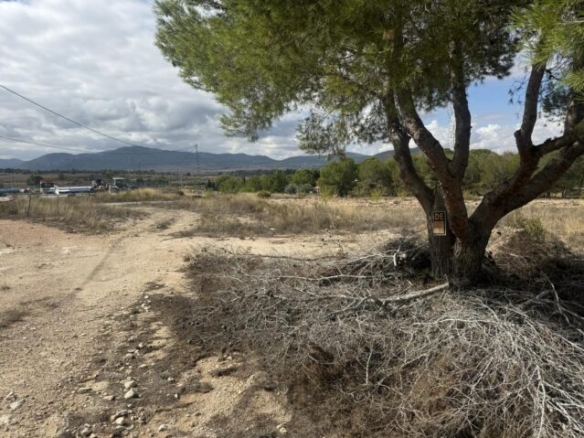 land in Monovar (Ref: CC0644)
