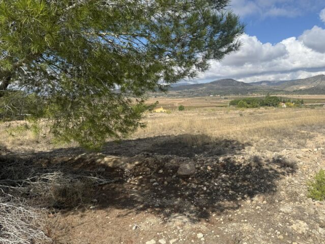 land in Monovar (Ref: CC0644)