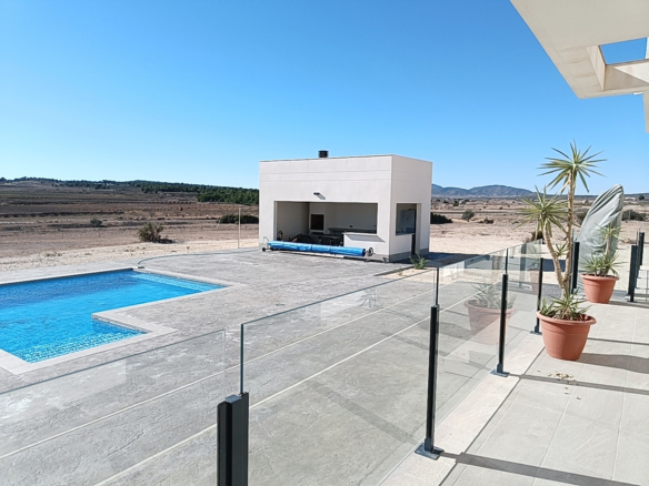 Villa in Pinoso (Ref: AM-PINUBE)