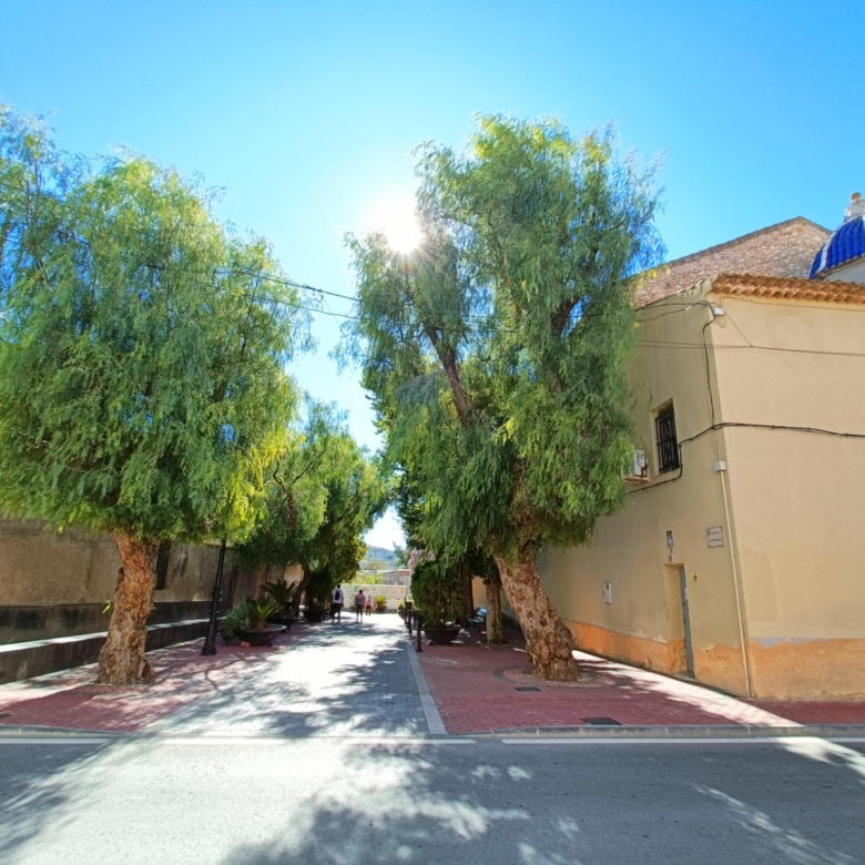Townhouse in Hondón de los Frailes (Ref: AM-HFCNS)
