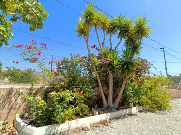 Villa in Abanilla (Ref: AM-SALADO)