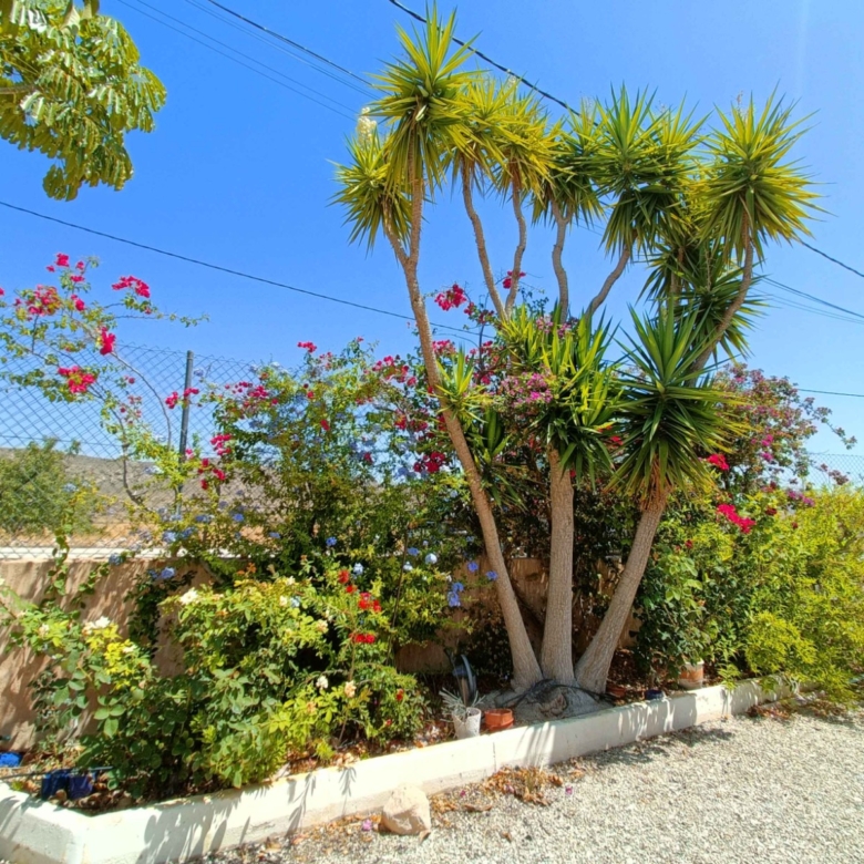 Villa in Abanilla (Ref: AM-SALADO)