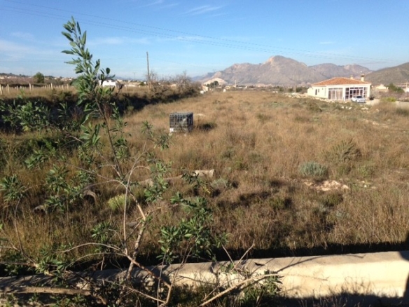 Non building plot in Hondón de los Frailes (Ref: HF-PLOT1)