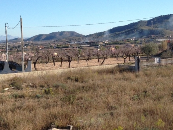 Non building plot in Hondón de los Frailes (Ref: HF-PLOT1)