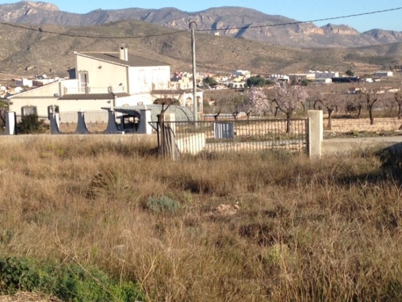 Non building plot in Hondón de los Frailes (Ref: HF-PLOT1)