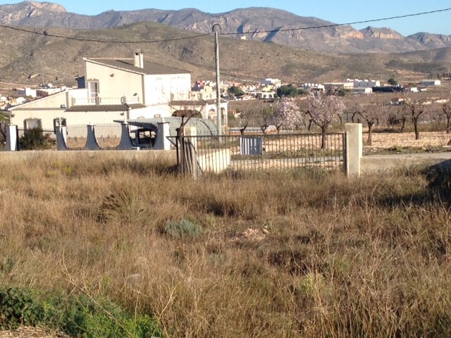 Non building plot in Hondón de los Frailes (Ref: HF-PLOT1)
