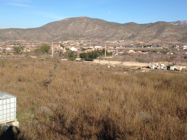 Non building plot in Hondón de los Frailes (Ref: HF-PLOT1)