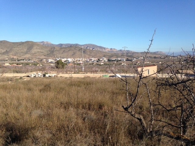 Non building plot in Hondón de los Frailes (Ref: HF-PLOT1)