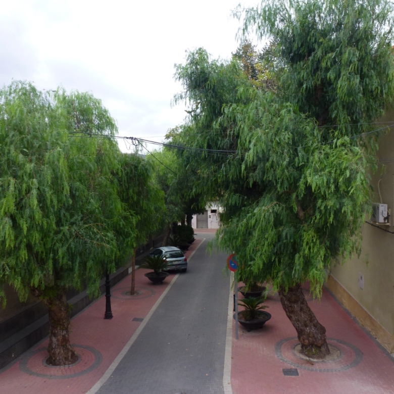 Townhouse in Hondón de los Frailes (Ref: HF-AND135)