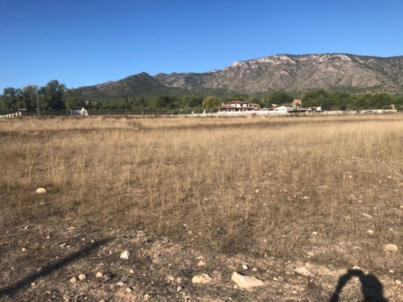 Plot in Salinas (Ref: SLN-JP98)