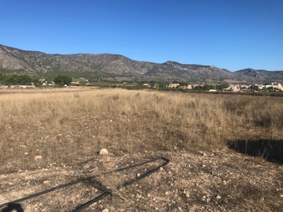 Plot in Salinas (Ref: SLN-JP98)