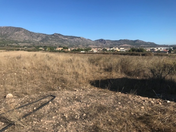 Plot in Salinas (Ref: SLN-JP98)
