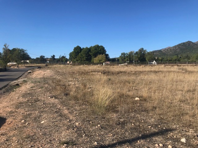 Plot in Salinas (Ref: SLN-JP98)