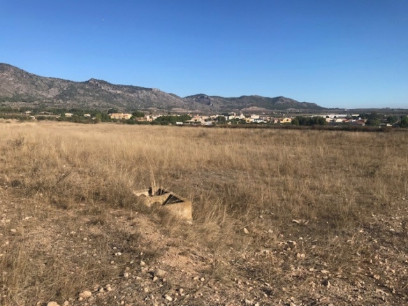 Plot in Salinas (Ref: SLN-JP98)