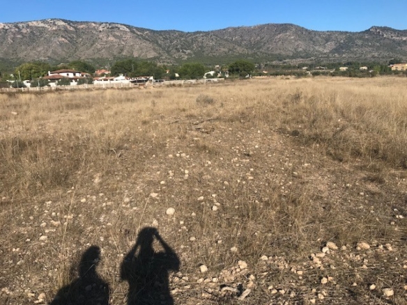 Plot in Salinas (Ref: SLN-JP98)