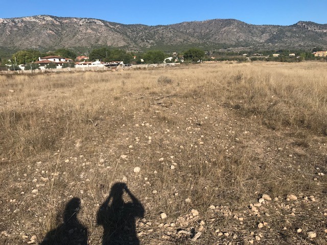 Plot in Salinas (Ref: SLN-JP98)