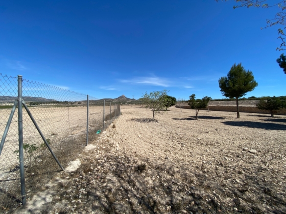 Country House in Salinas (Ref: 18161)
