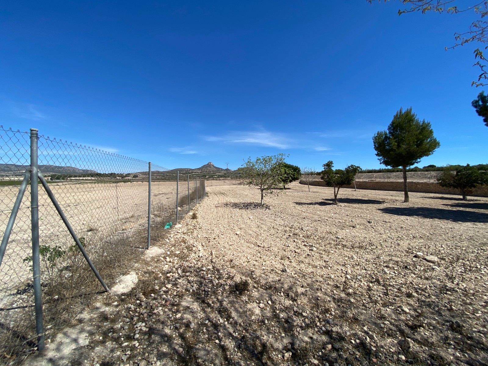 Country House in Salinas (Ref: 18161)