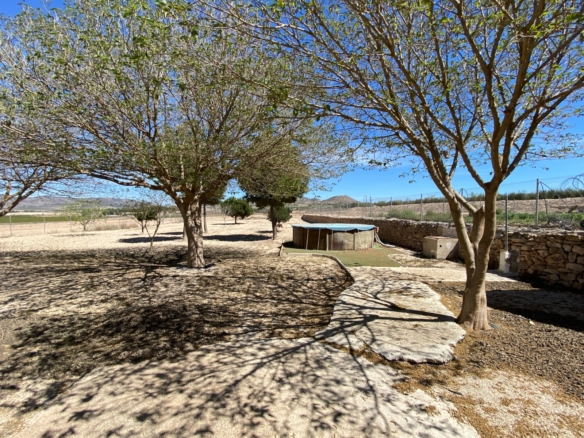 Country House in Salinas (Ref: 18161)