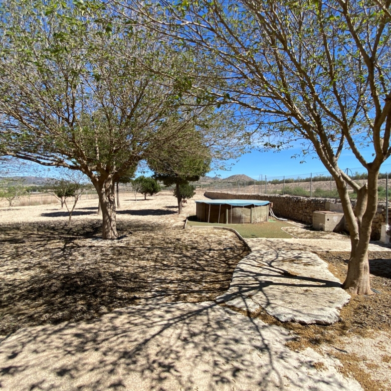 Country House in Salinas (Ref: 18161)
