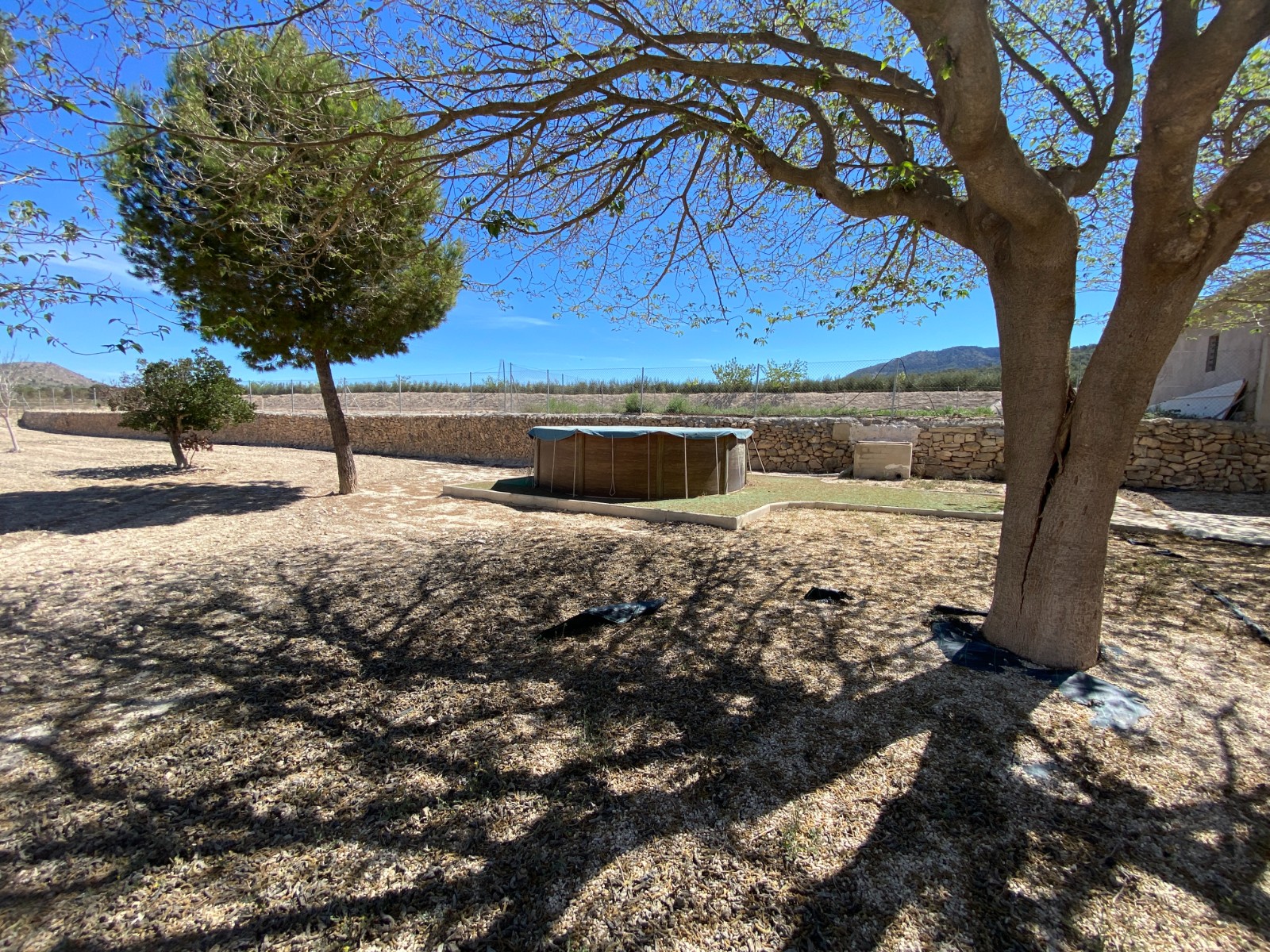 Country House in Salinas (Ref: 18161)